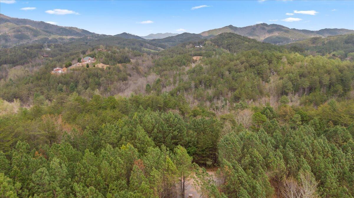 Image 3: 16-DJI_0460-HDR