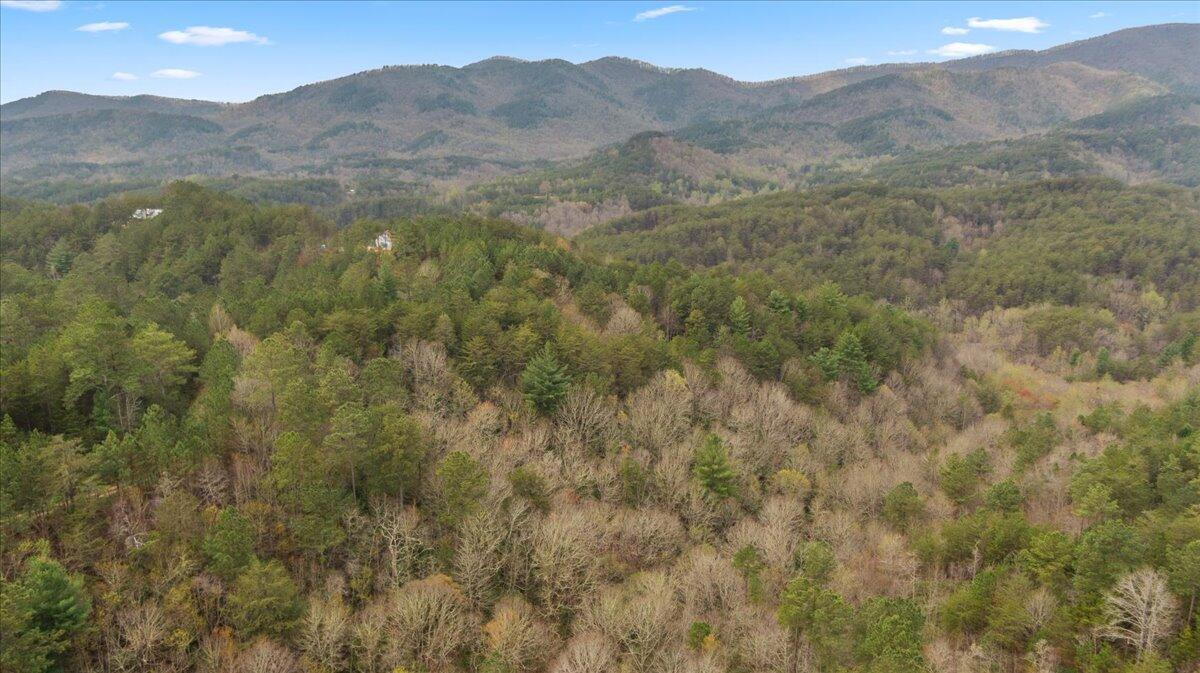 Image 4: 21-DJI_0490-HDR