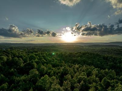 44 Acres Hiwassee Highway