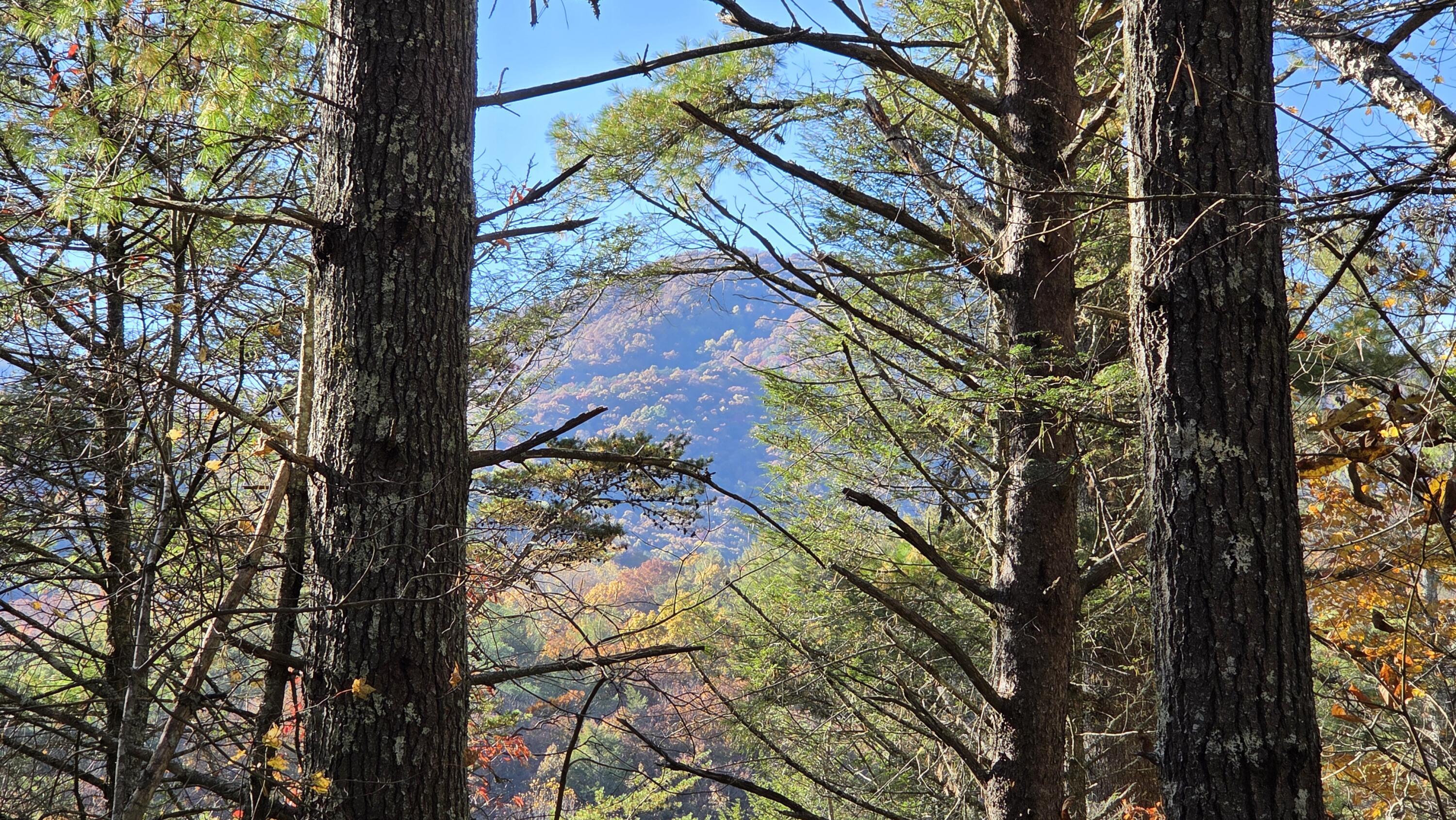 Image 1: 2025-11-05 15.21.18