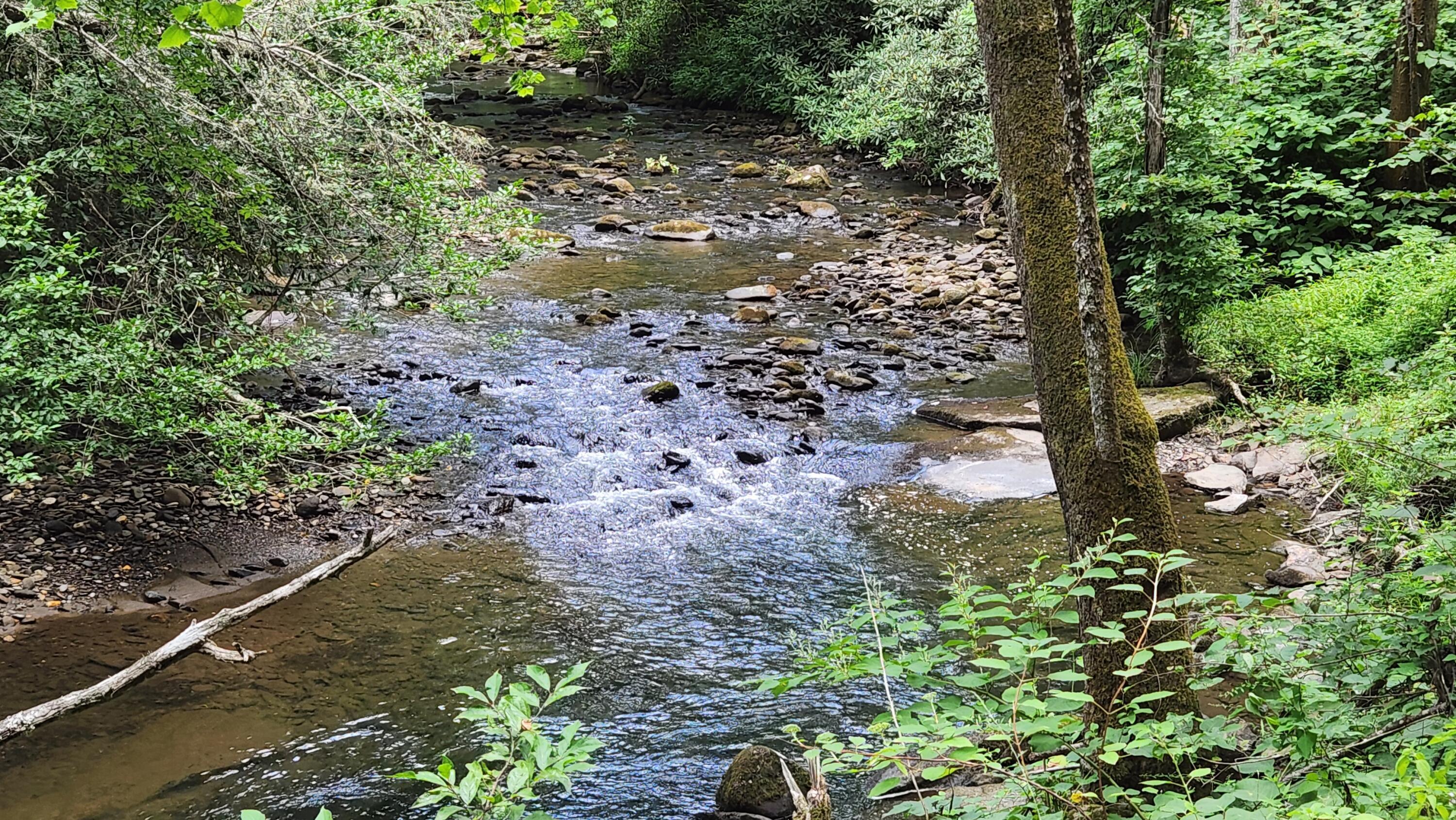 Image 2: 20240714_174835