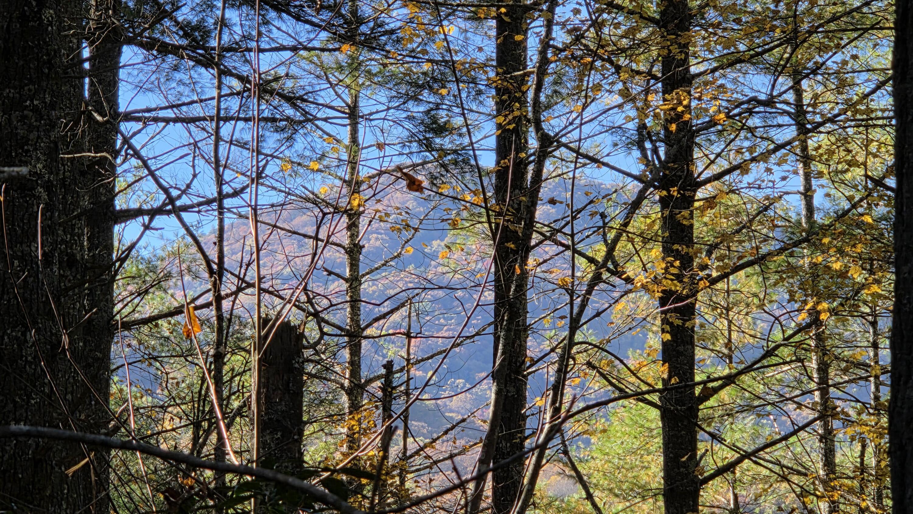 Image 3: 2025-11-05 15.17.28