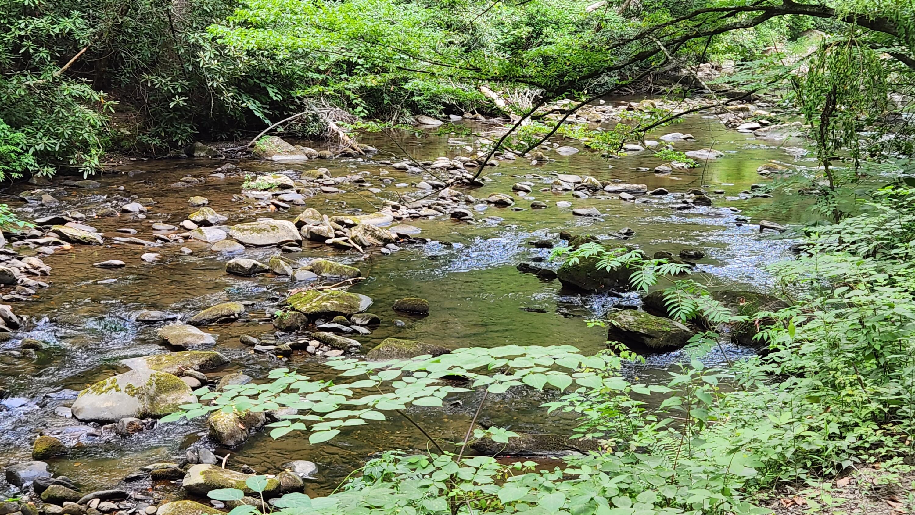 Image 4: 20240714_175229