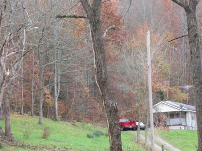 323 County Road 2