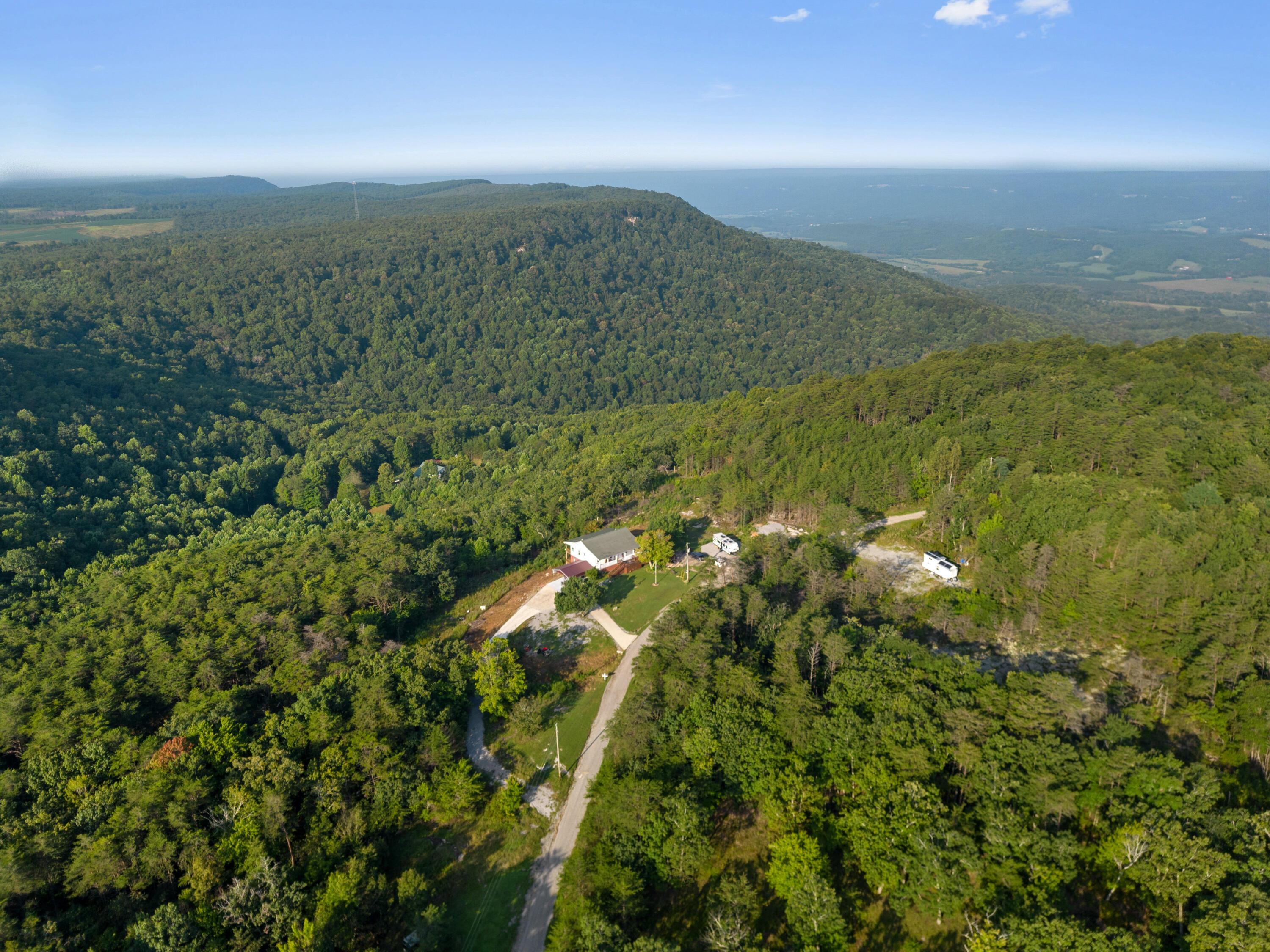 Image 1: Green Dr-Bryson Dalton-38