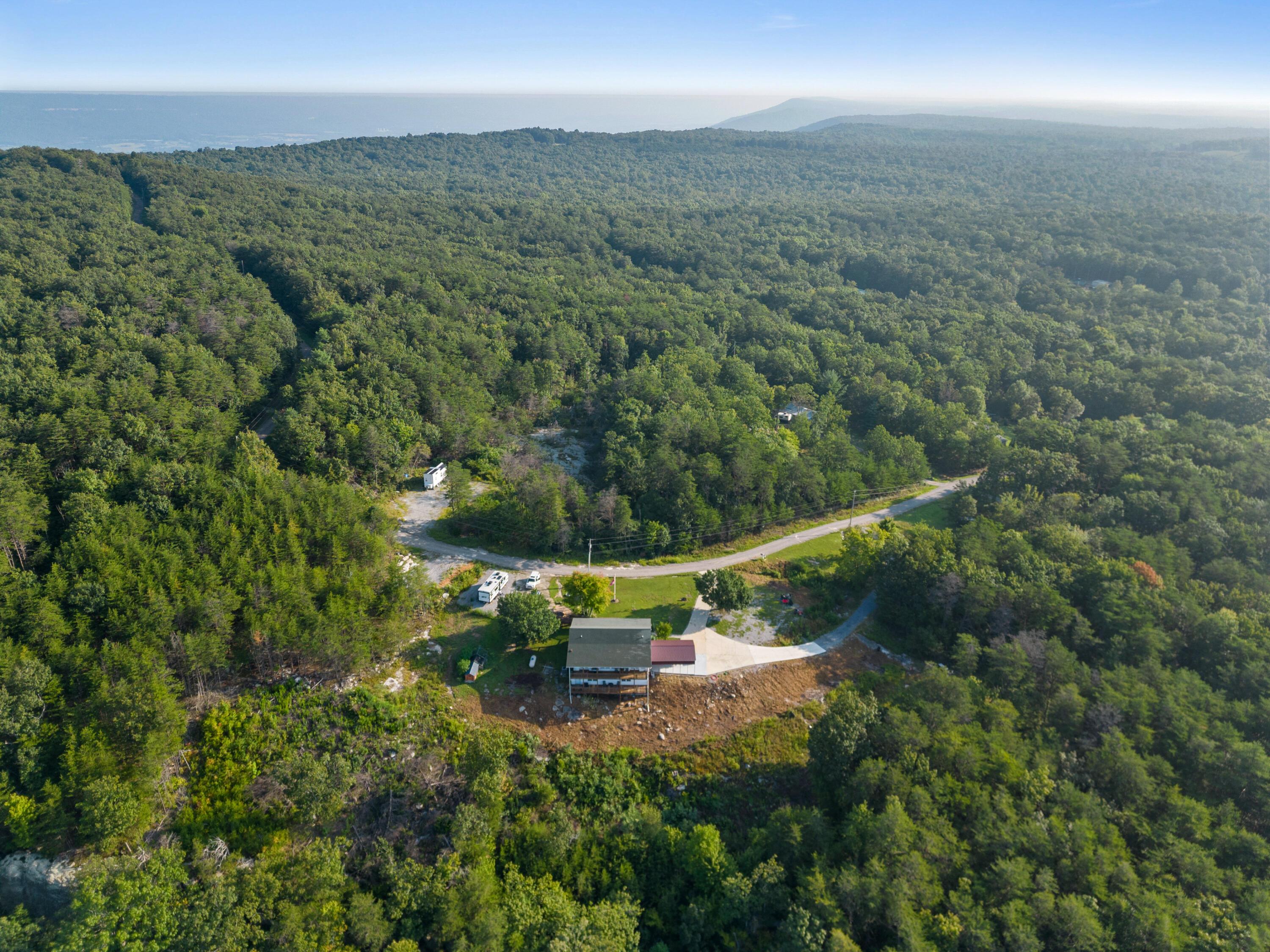 Image 4: Green Dr-Bryson Dalton-39