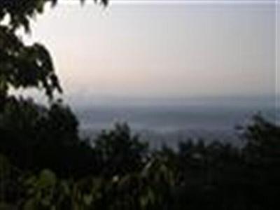 1080 Black Bear Trail