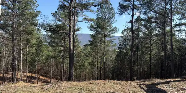 00 County Road 609