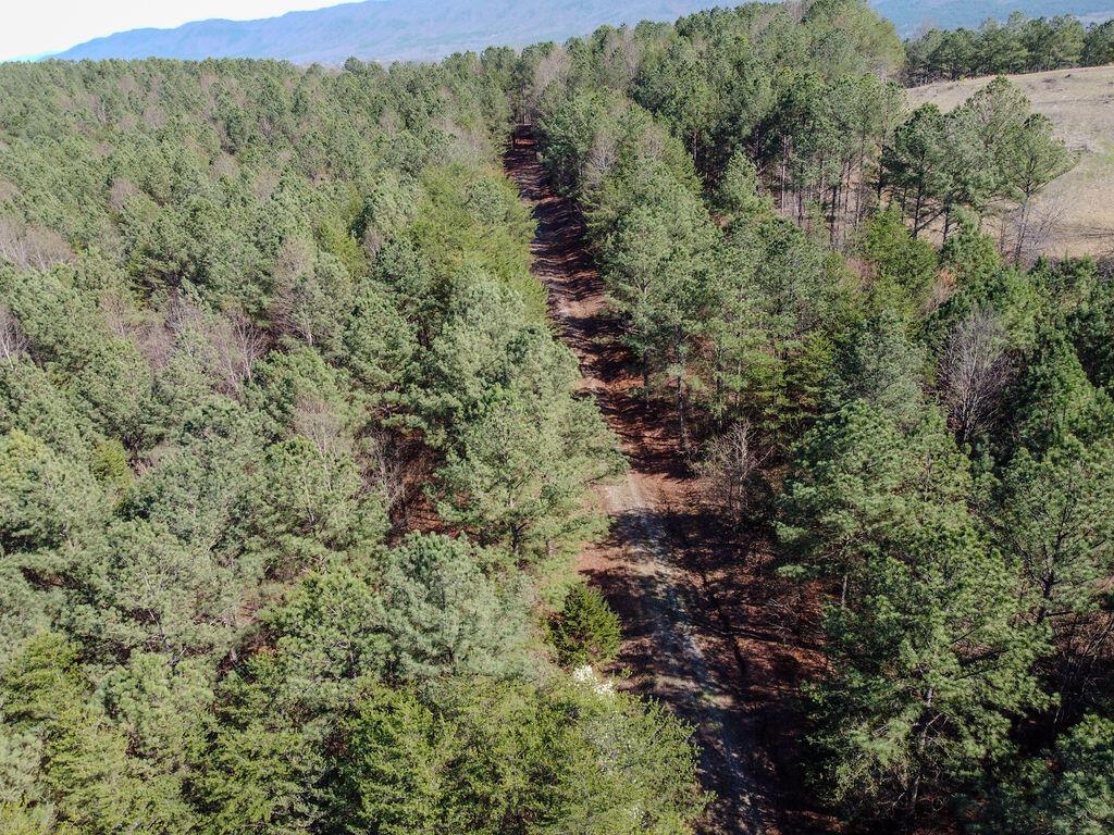 Image 2: DJI_0875