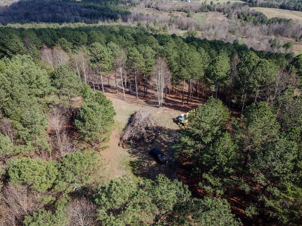 Image 3: DJI_0877