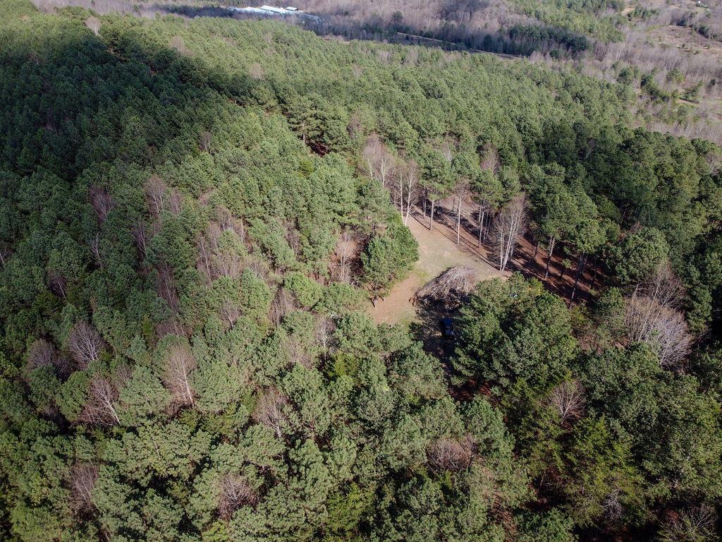 Image 4: DJI_0880