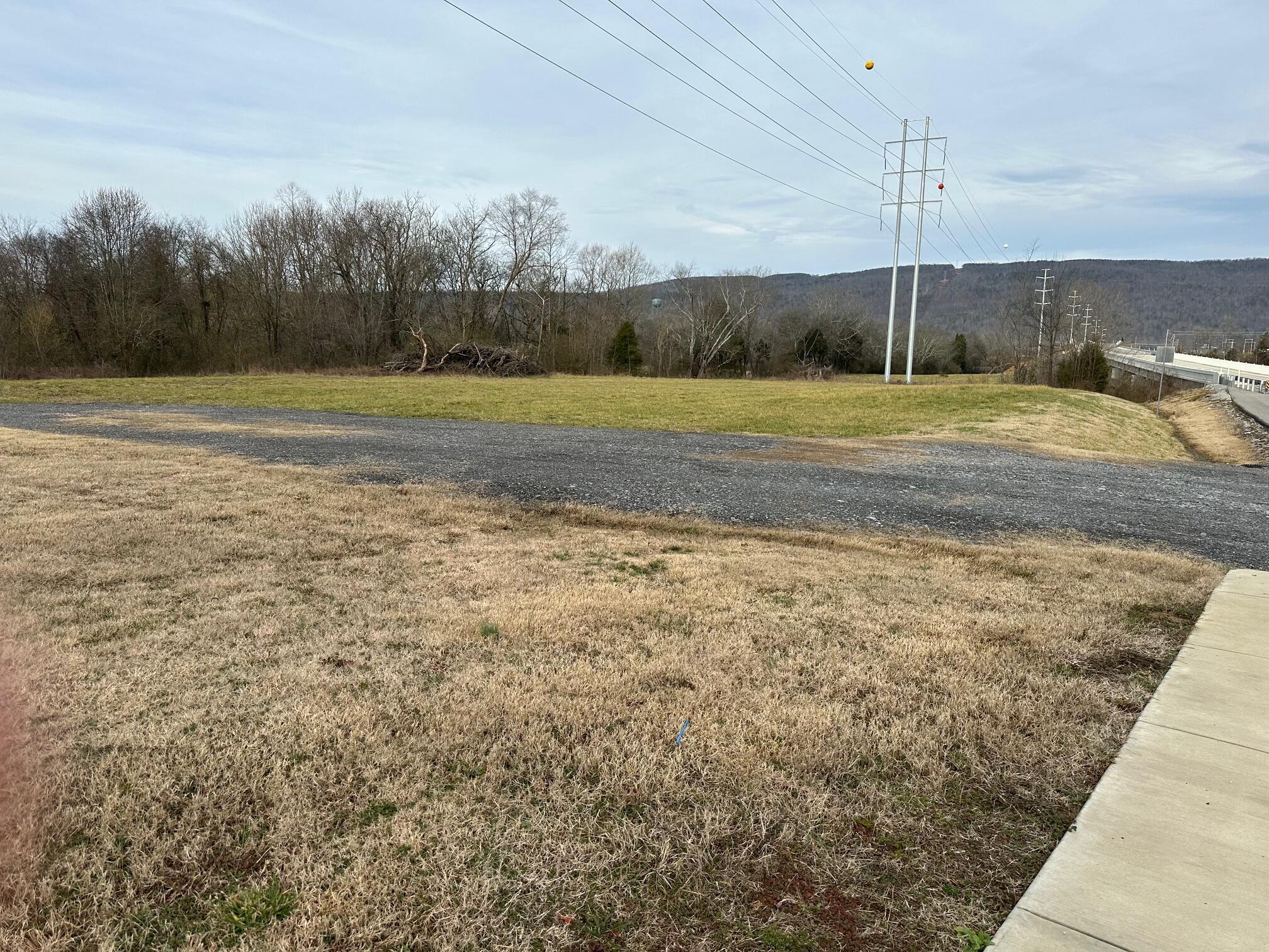 Image 3: IMG_4406