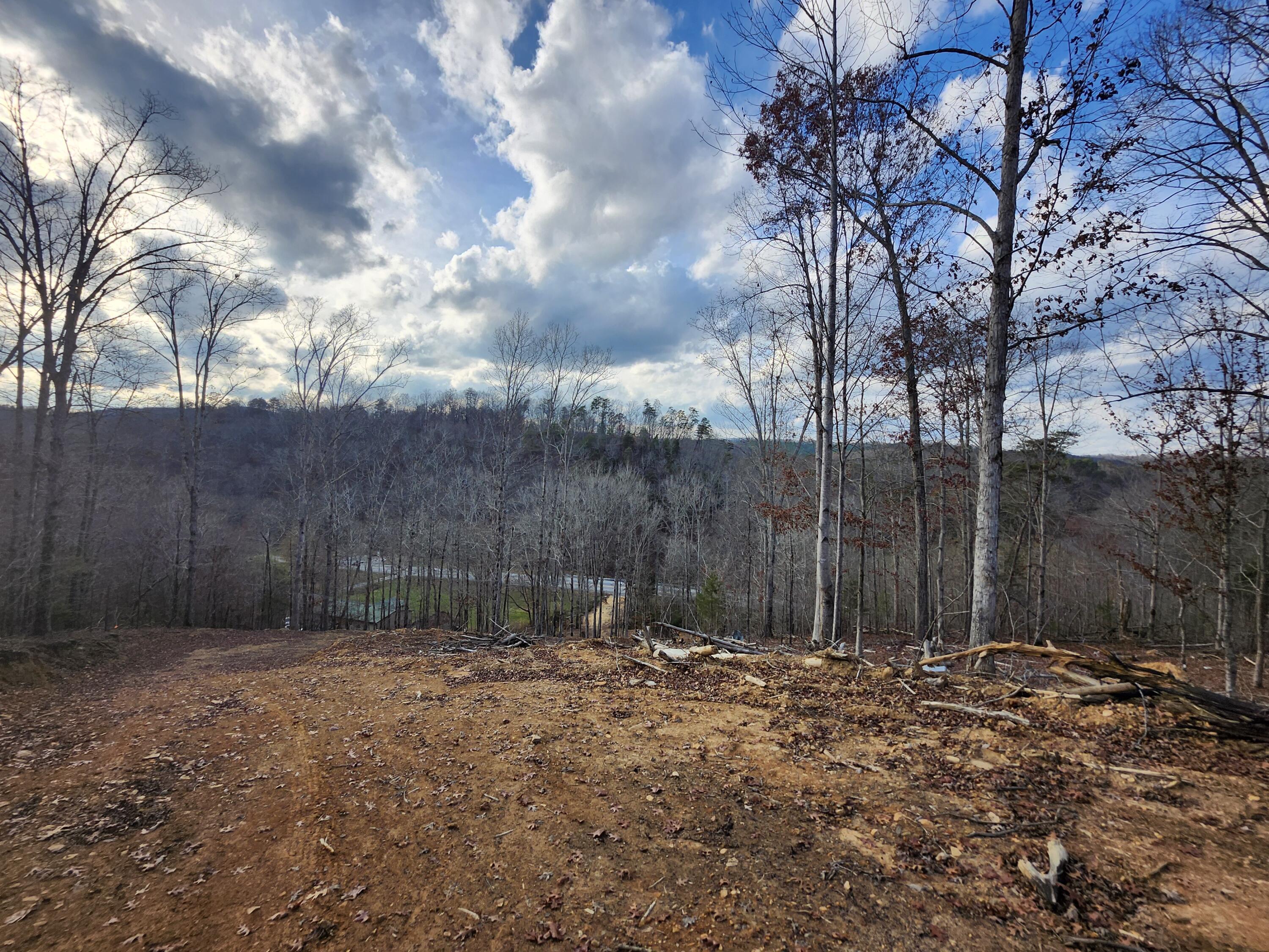 Image 1: 7 Acre Building Lot Great Views