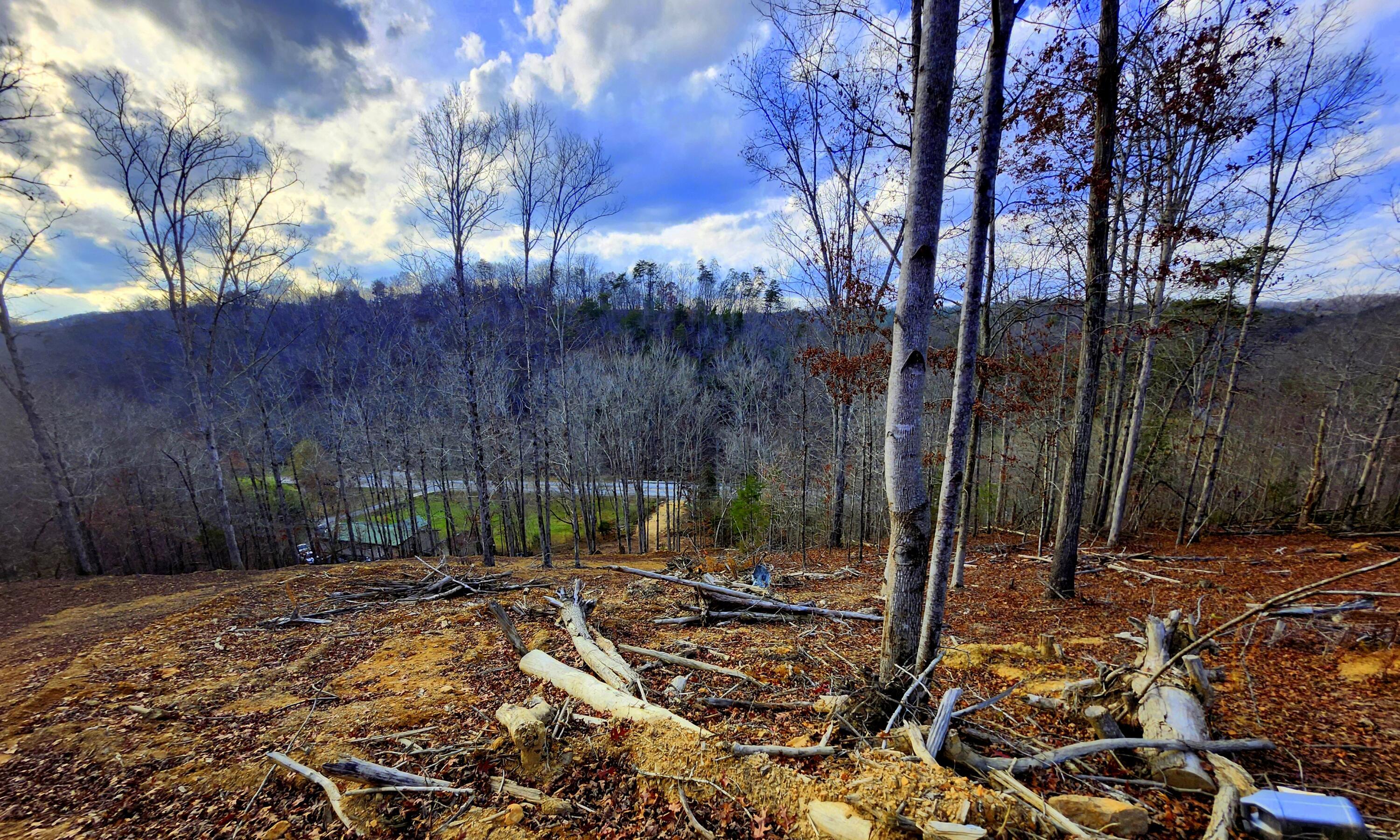 Image 3: 20251124_153253