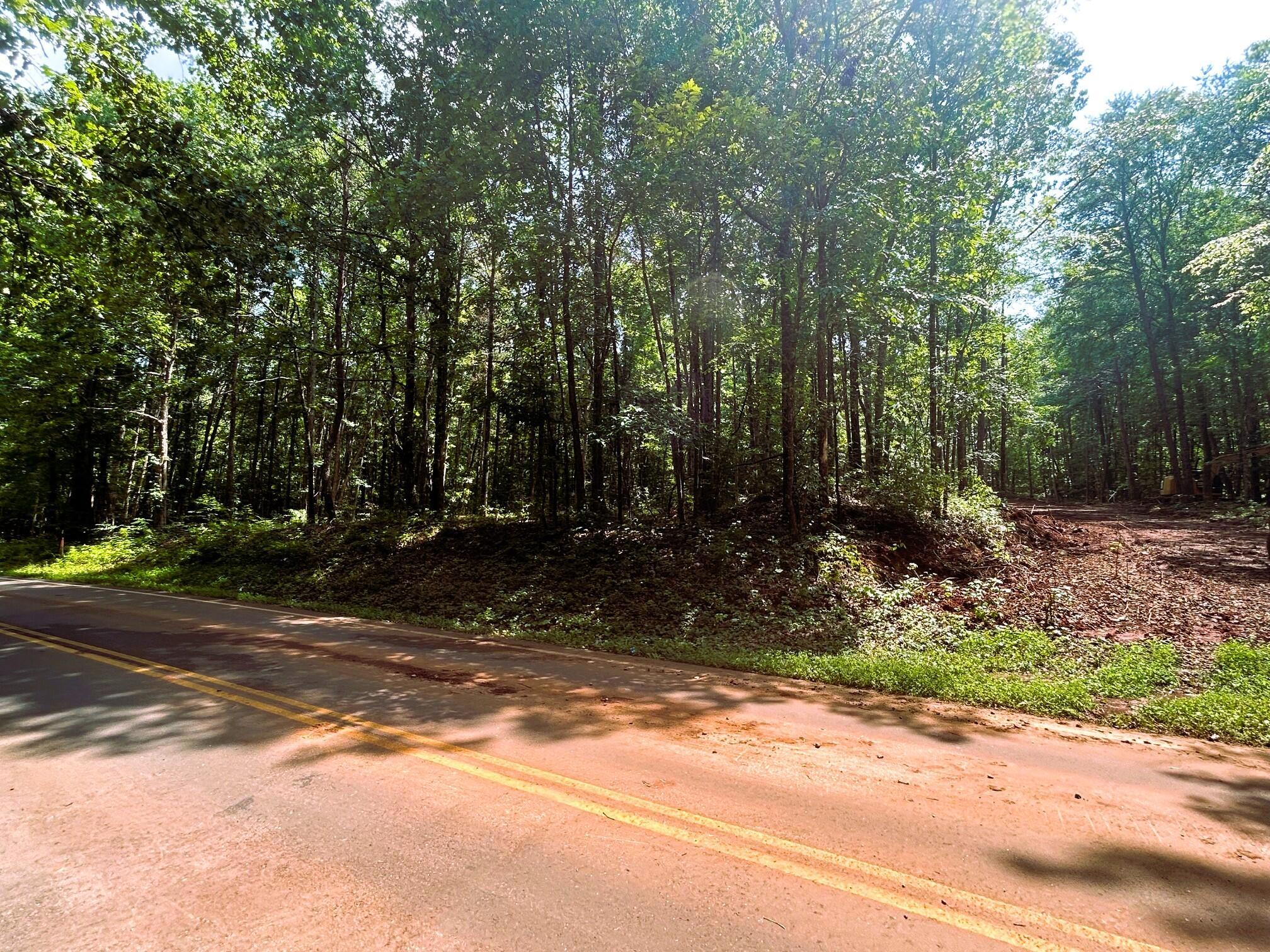 Image 2: Driveway access