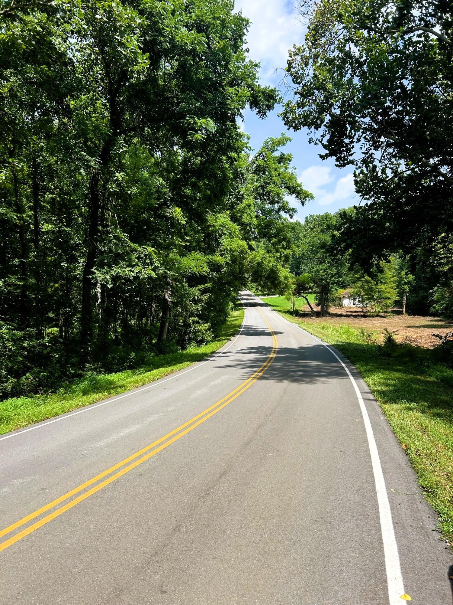 Image 3: Roadfront