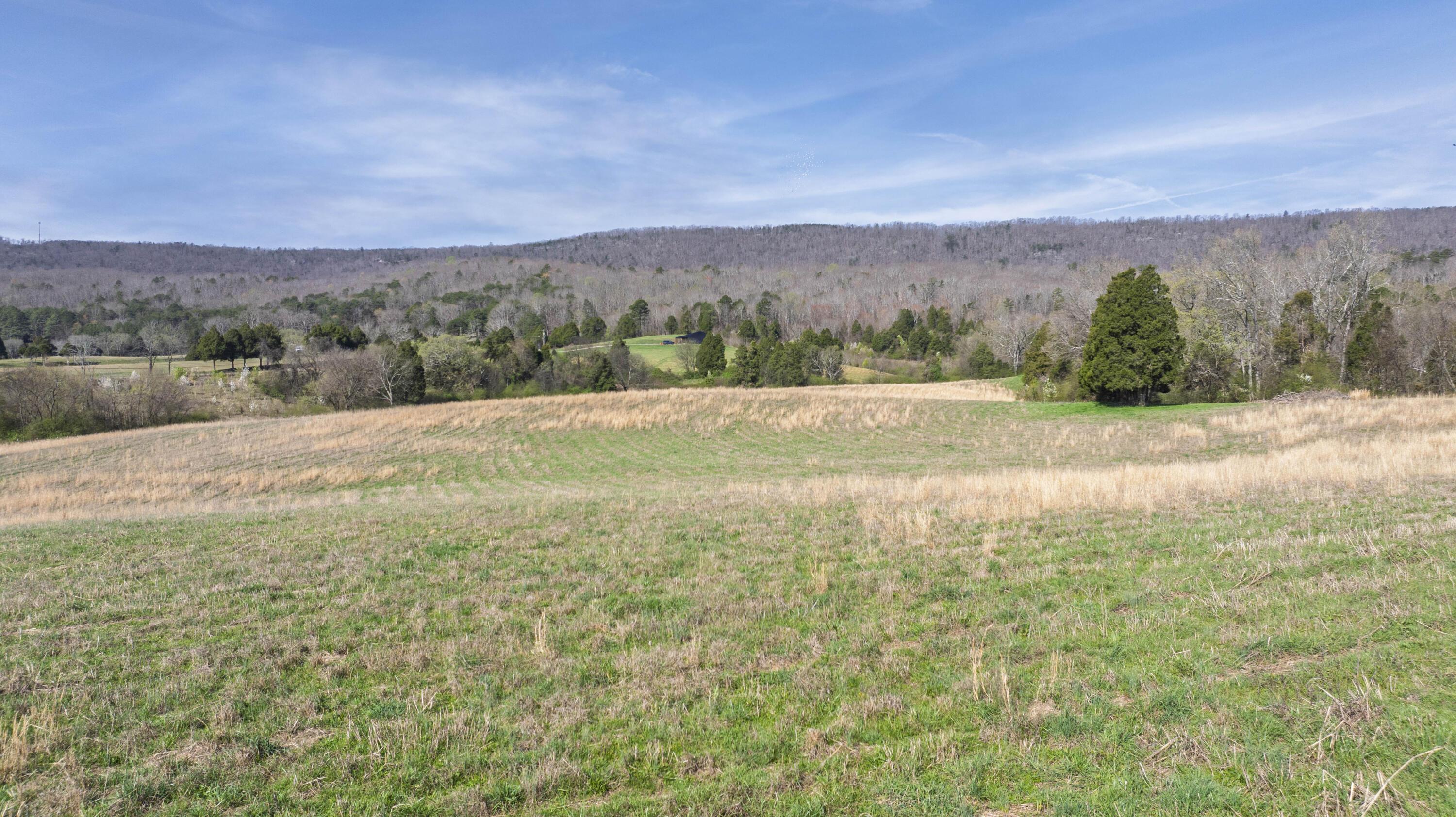 Image 3: 06
