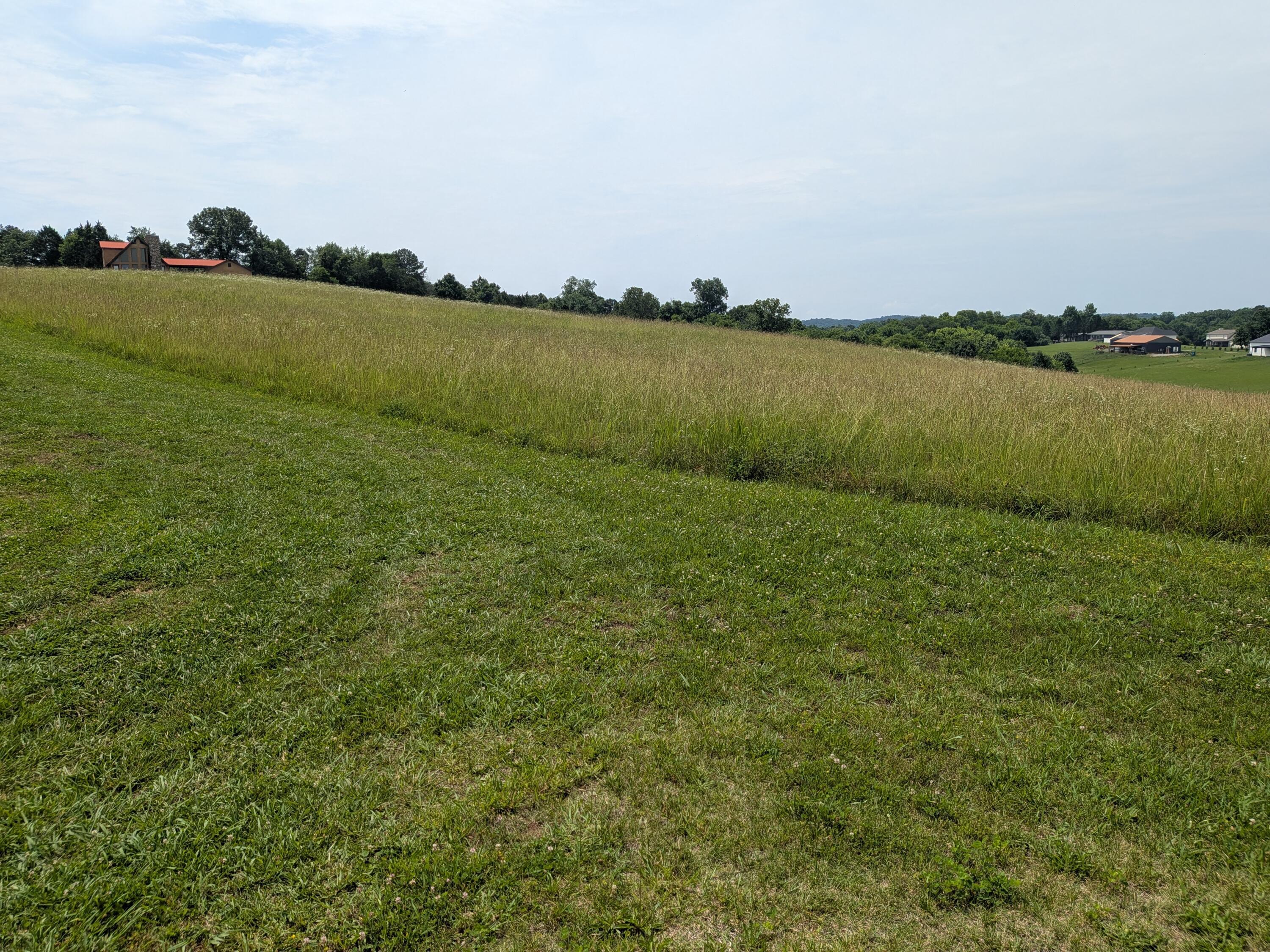 Image 2: PXL_20260529_160047610