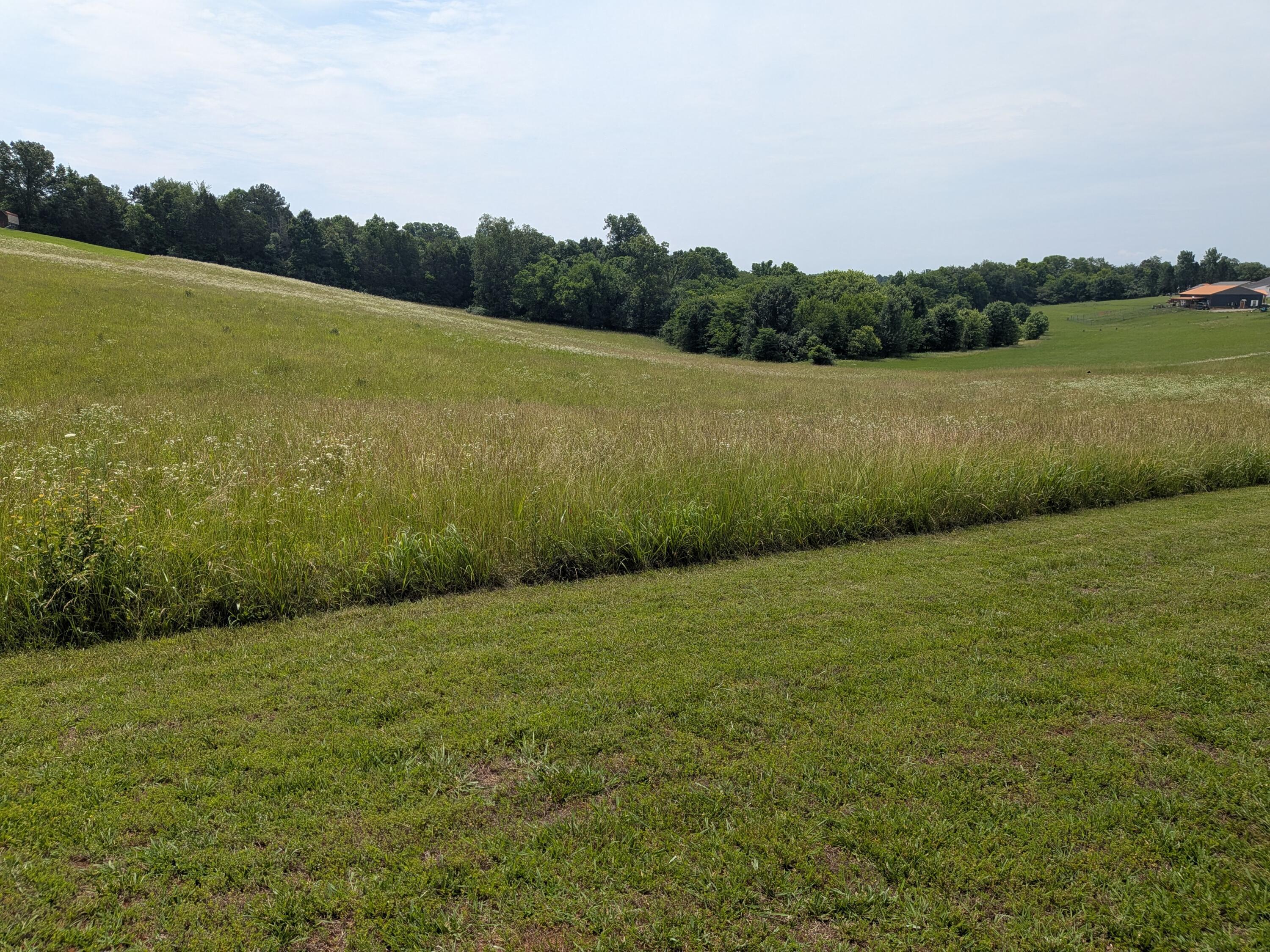 Image 4: PXL_20260529_160221575