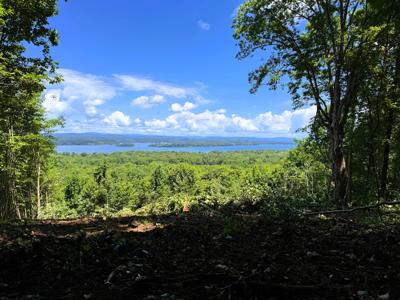 Tract 7 Pleasant Hill Road