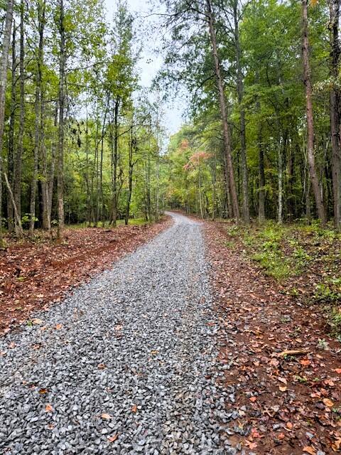 Image 2: Gravel Driveway