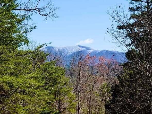 Image 3: snow on top of Big Frog Mtn-March 2026