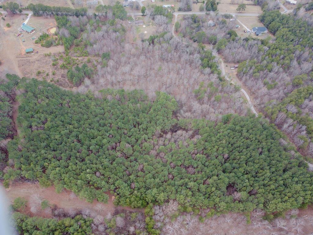 Image 4: DJI_0792
