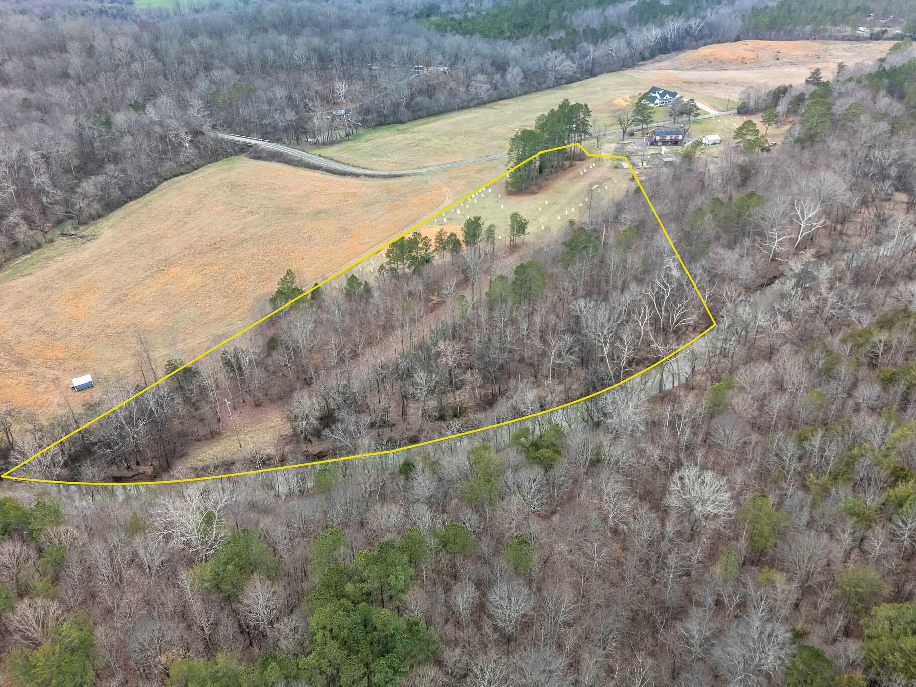 Image 4: DJI_20260224225456_0053_D-Edit