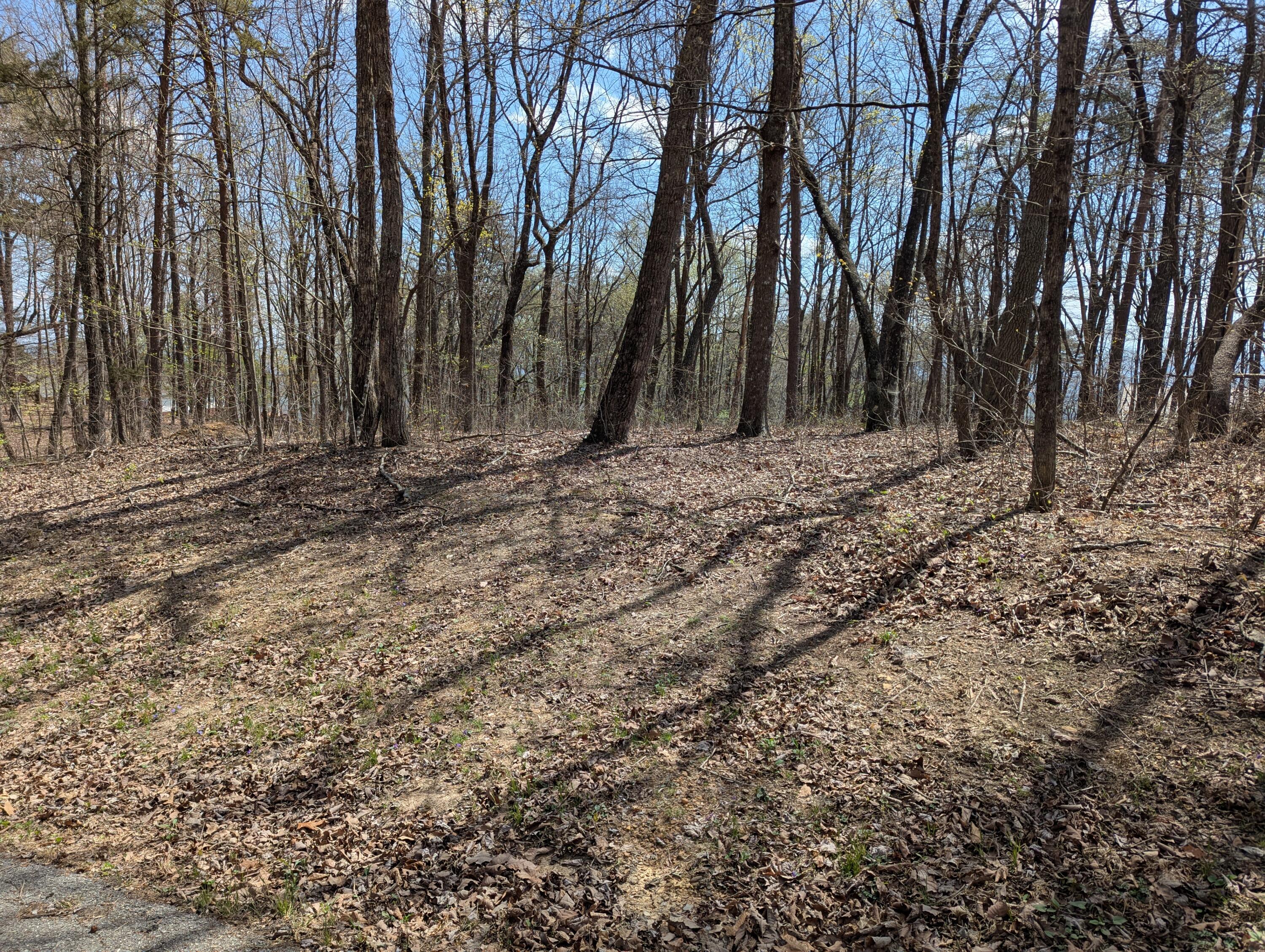 Image 3: PXL_20260402_170025408