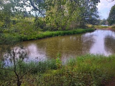 11.3 Acres Summer City Rd