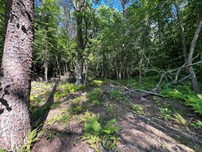3970 Highway 68