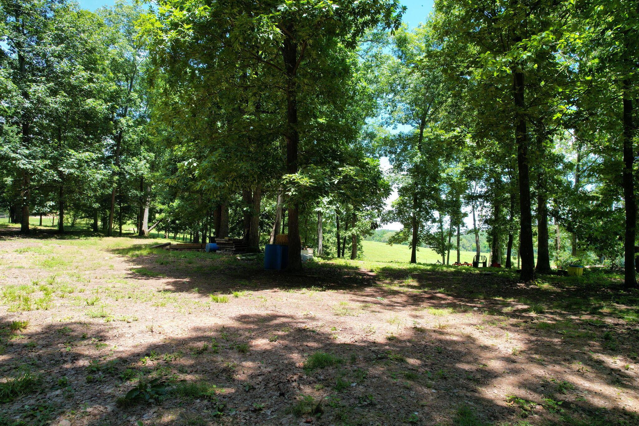 Image 1: 1-web-or-mls-DJI_0920