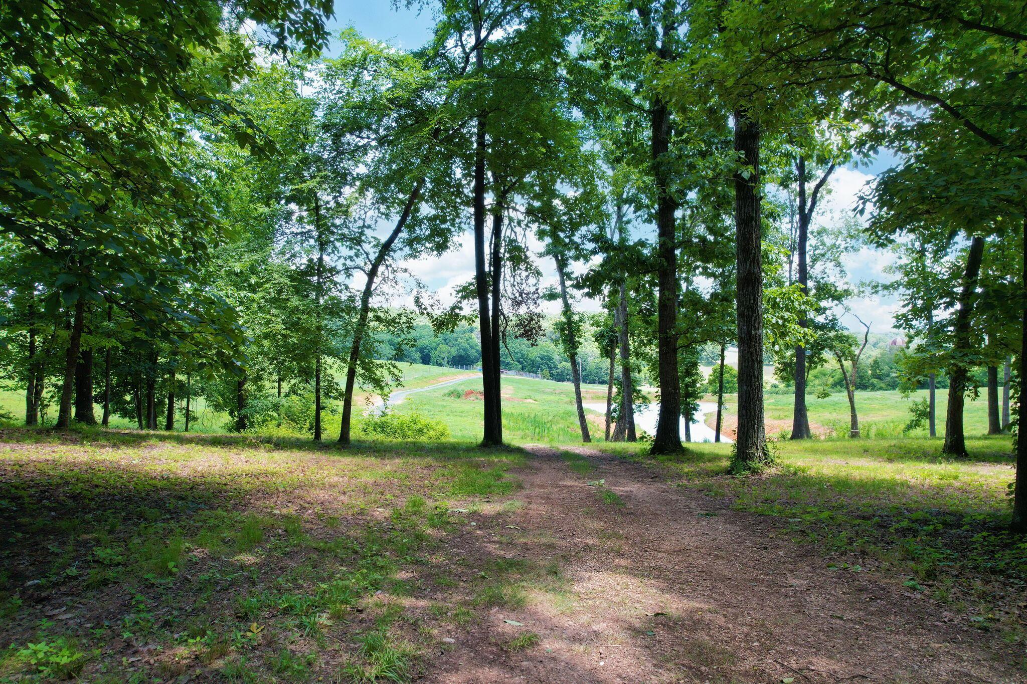 Image 4: 15-web-or-mls-DJI_0936