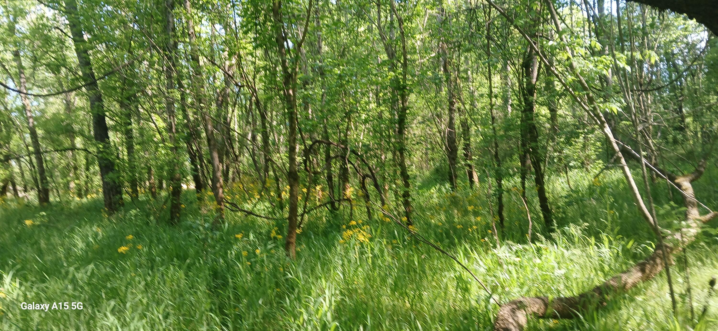 Image 2: 20260417_105925 (1)