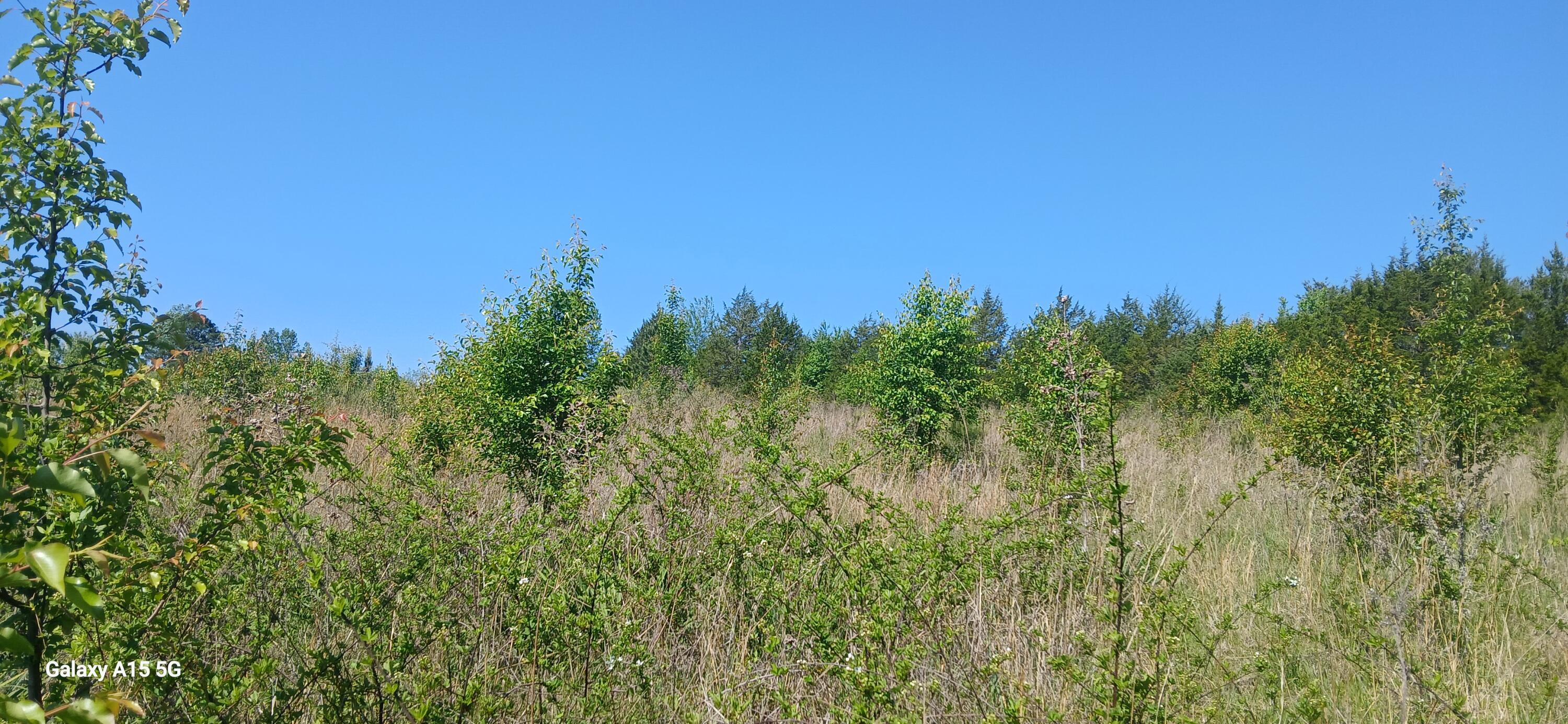 Image 4: 20260417_112313