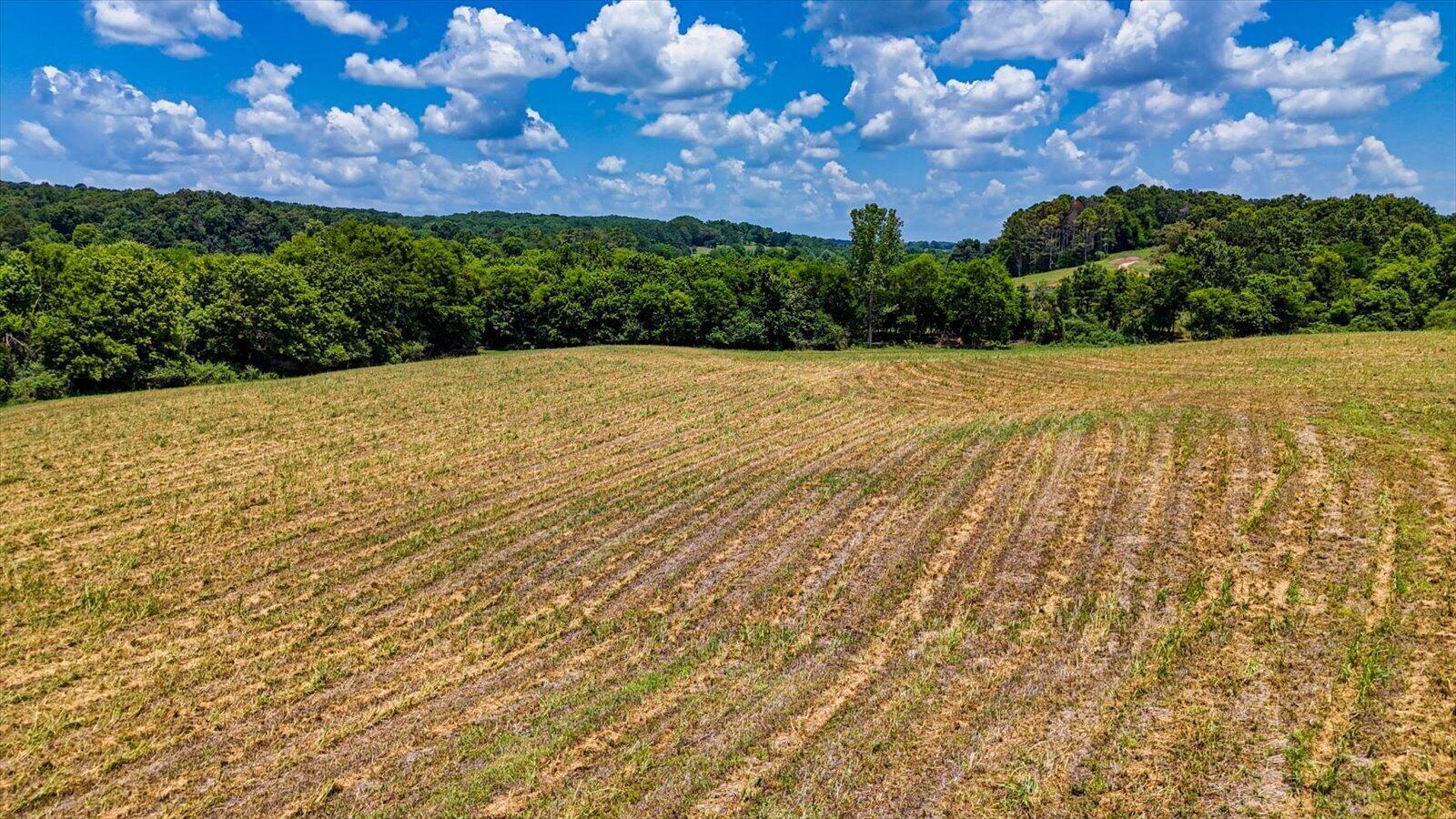Image 2: 19-Flintstone Springs Rd SE-19