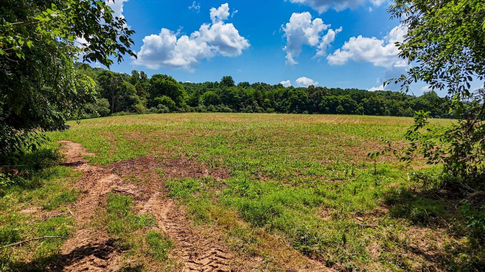 Image 3: 22-Flintstone Springs Rd SE-22
