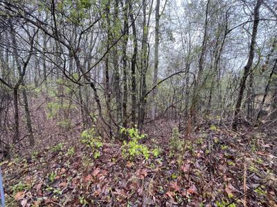 0 Cedar Lane