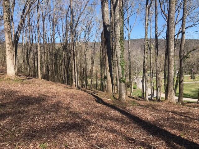 Image 1: image0