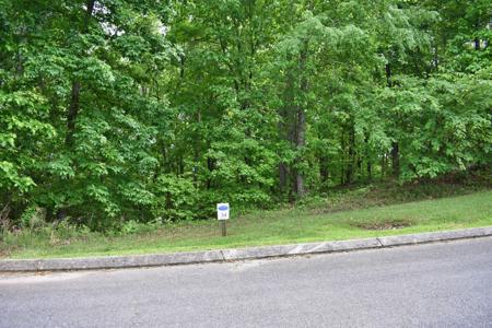 450 Hidden Forest Trail