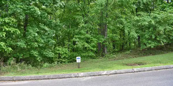450 Hidden Forest Trail