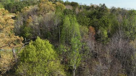 0000 County Road 675