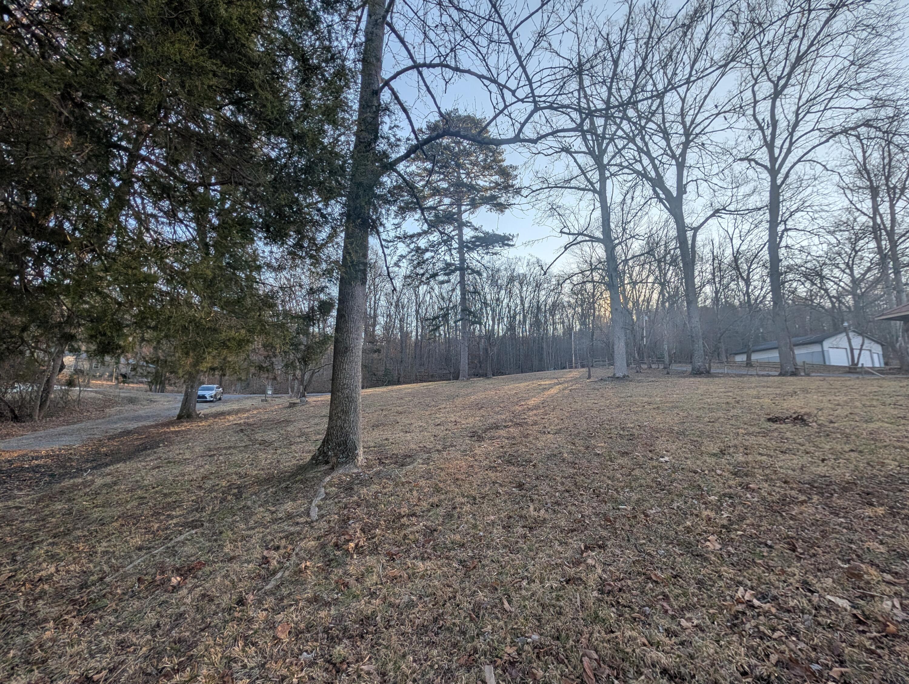 Image 3: PXL_20260209_140122068