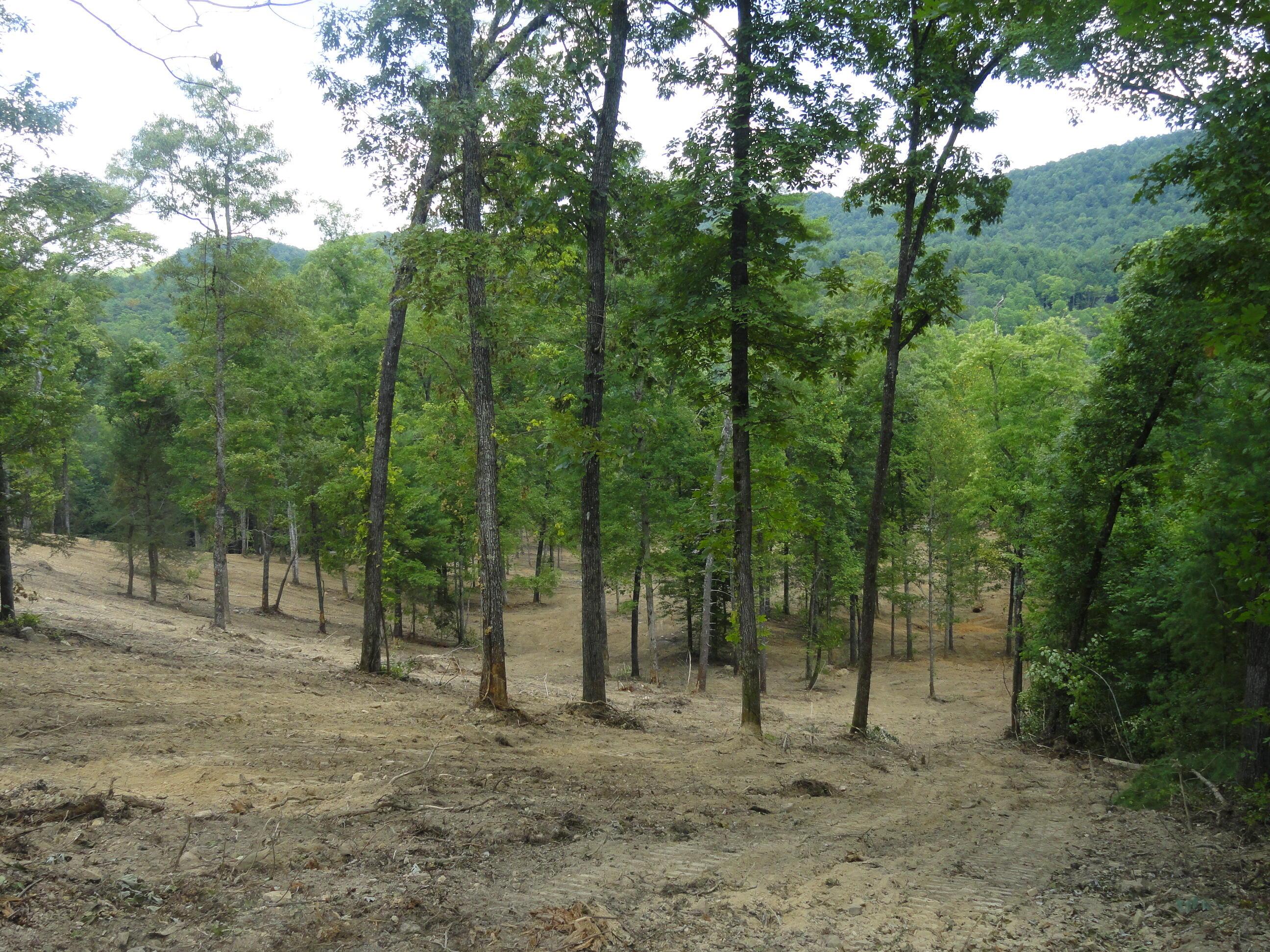 Image 2: 11