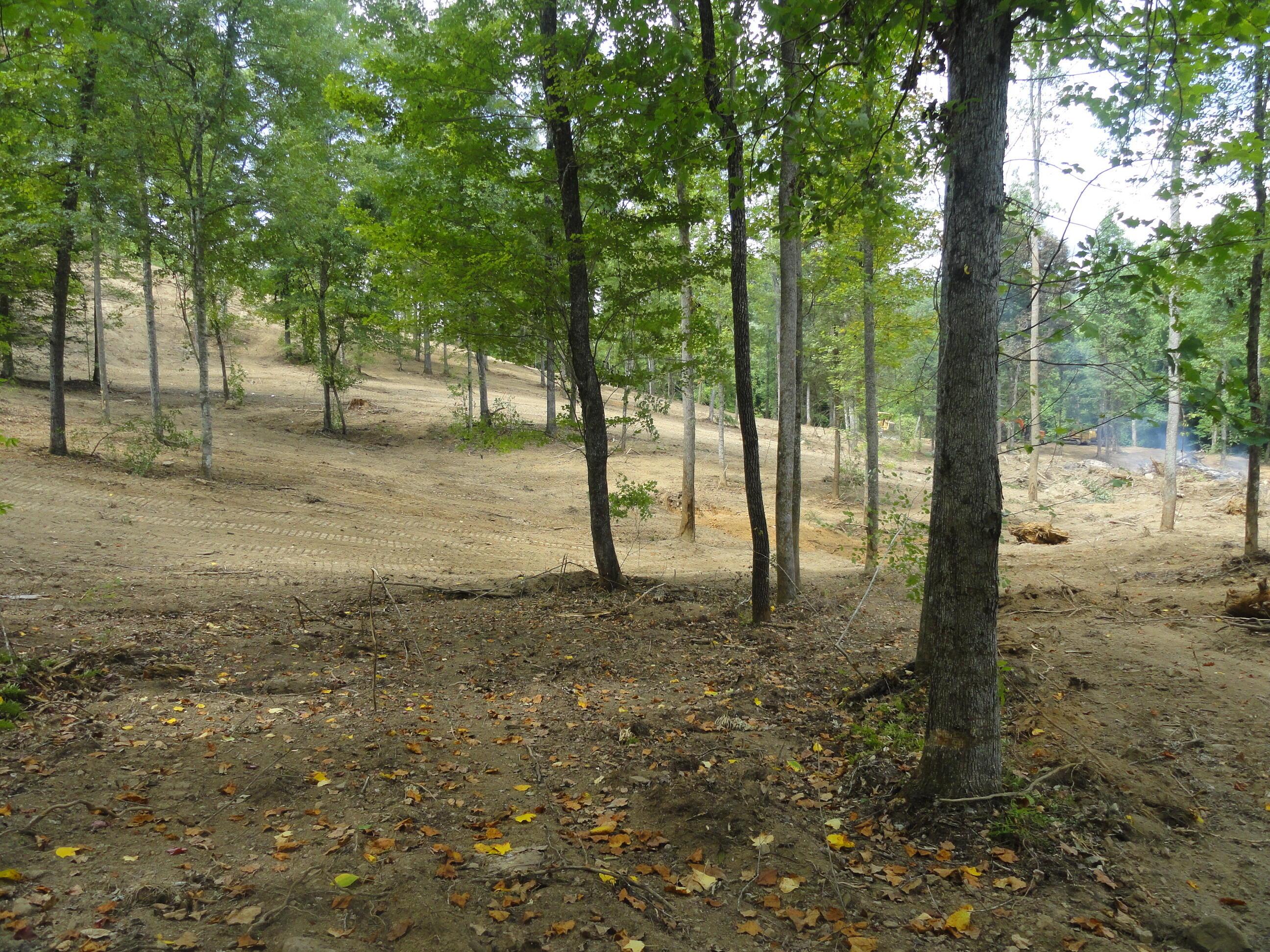 Image 4: 17