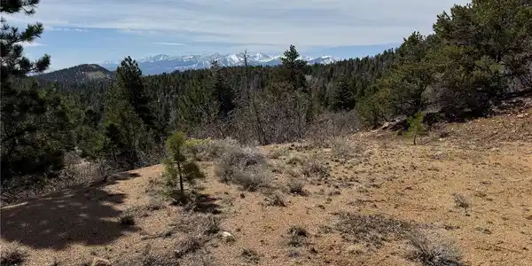 Trail Drive