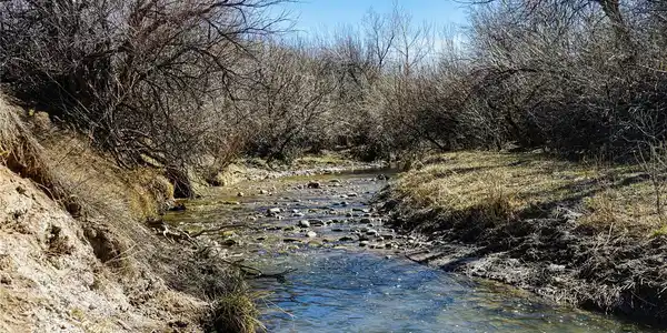 161 Colorado Land & Livestock