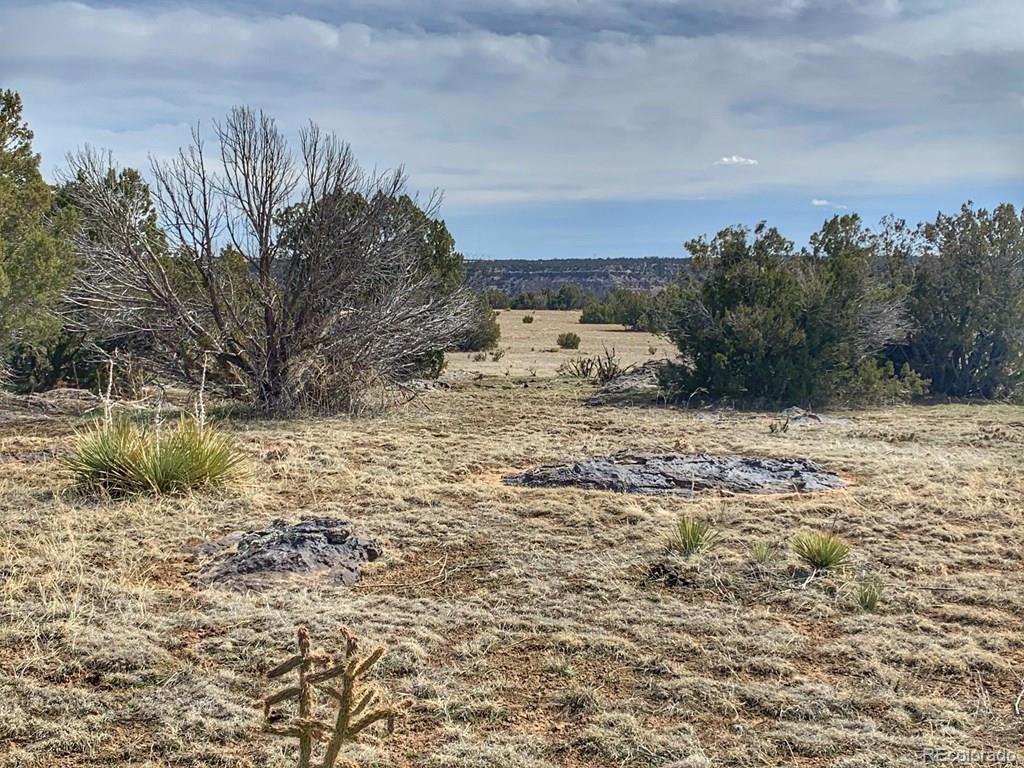Image 4 Image 4
