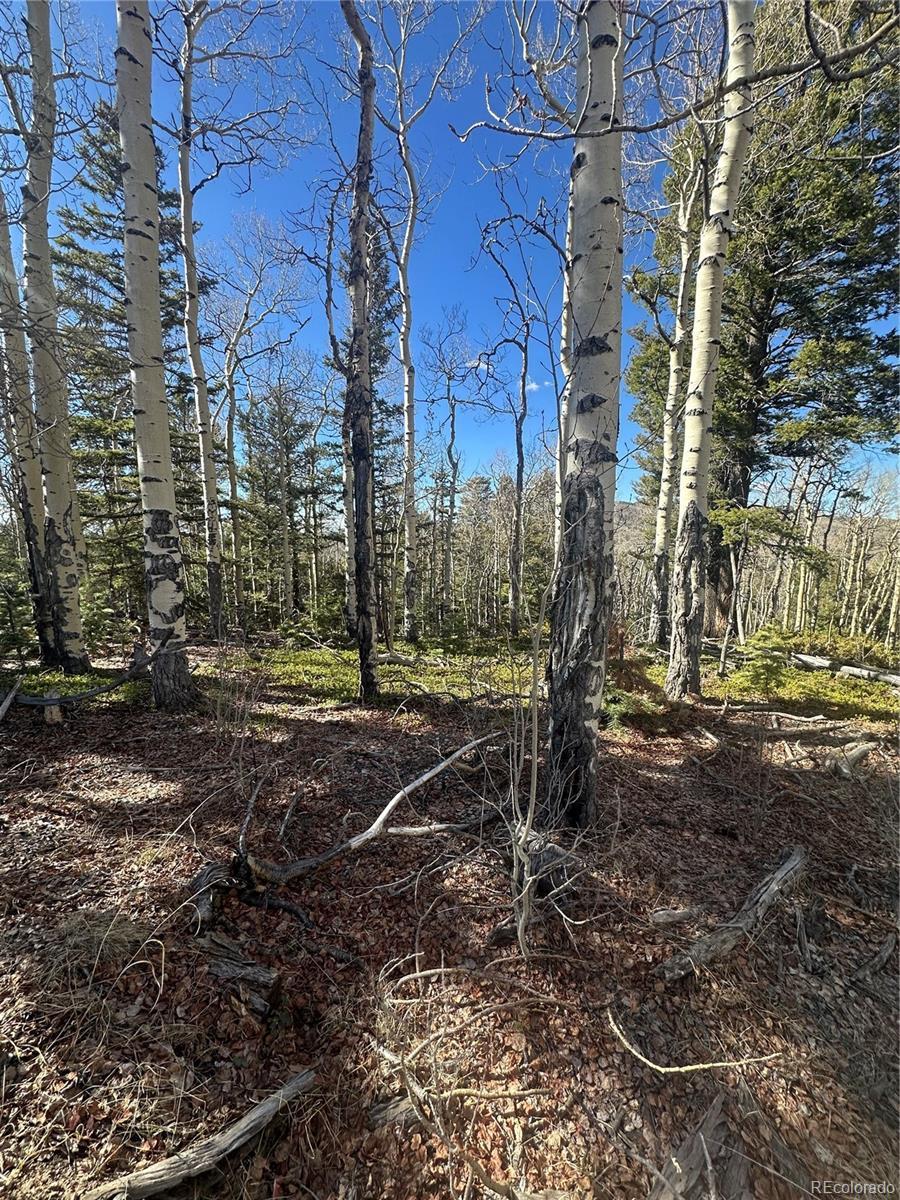 Image 3 Image 3