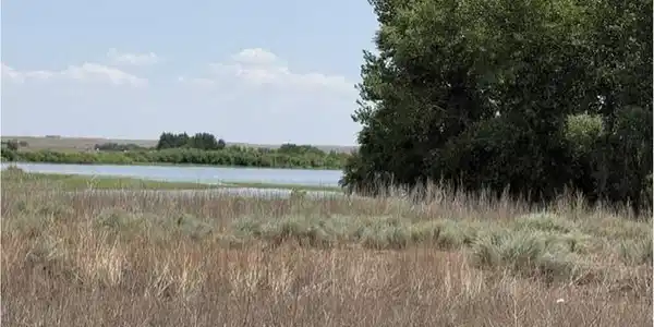 Image 2 Image 2